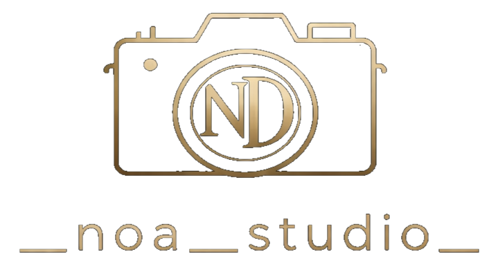 Logo Noa DOTTI